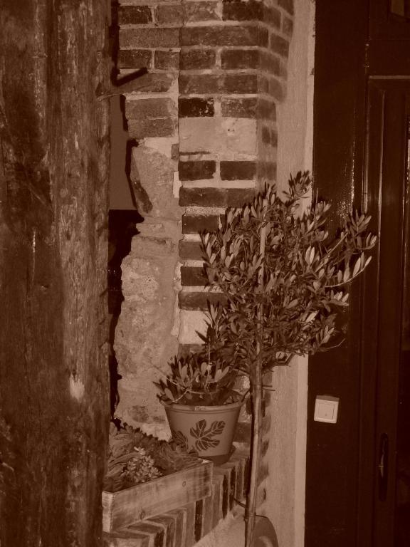 Les 5 Sens Bed & Breakfast Exterior photo